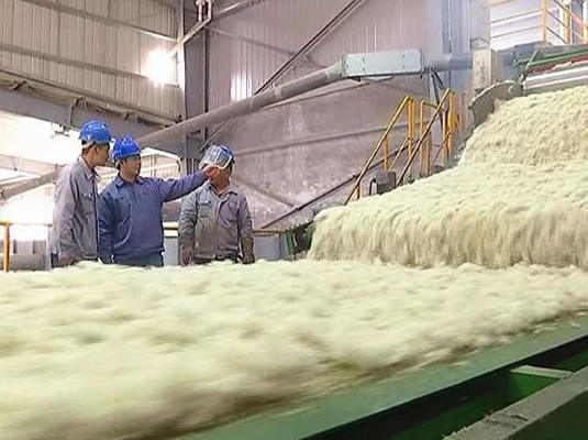 Good price Mineral Wool Board Production Line with 1200-2400mm Board Width 80-200kg/m3 Density and 380V/50Hz Power Supply online