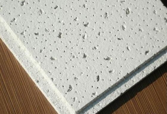 International Shipping Acoustic Ceiling Plant Export Mineral Fiber Ceiling Board Production Line Supplier